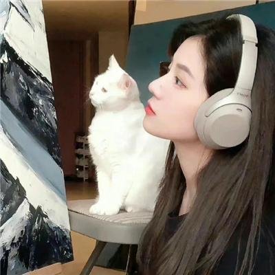 曹老板的十八个秘书 海报