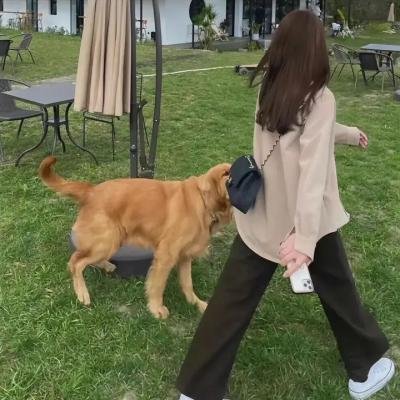 嘲笑的淑女 海报
