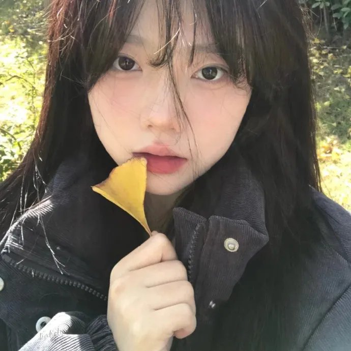 乌龙小姐 海报
