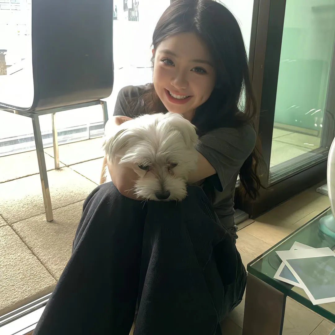 雪莉2024 海报